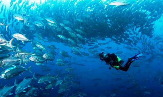 Cocos Island School Cocos Island School