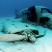 An airplane wreck in the Bahamas