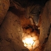 Laying eggs on the beach at Lankayan Island, Malaysia