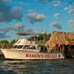 Daily diving in Ambergris Caye