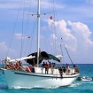 Sailing safaris with Blackbeard's