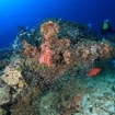 Scuba divers in Phi Phi, Thailand