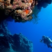 Diving at the Ghoubbet al Kharab