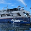 Sipadan liveaboard dive cruises