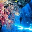 Scuba diving in Thailand