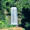 Millaa Millaa Falls