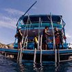 Mergui diving safaris