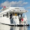 Turks and Caicos liveaboard diving